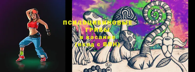 где купить   Ардон  МЕГА как зайти  Галлюциногенные грибы MAGIC MUSHROOMS 